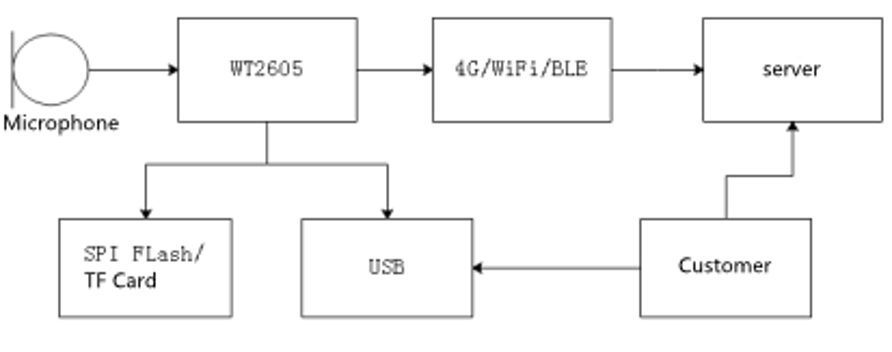 WT2605 system block diagram