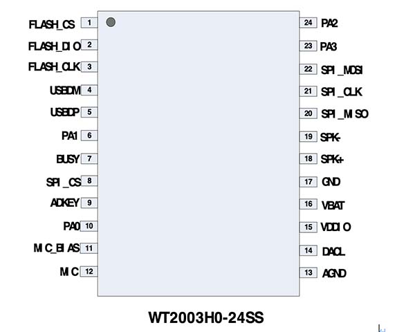 WT2000H0-24SS Chip Pins Description 1