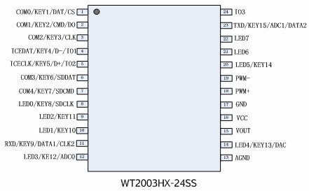 Figire 1 WT2003H4-24SS Pin Description of WT2003H4-24SS
