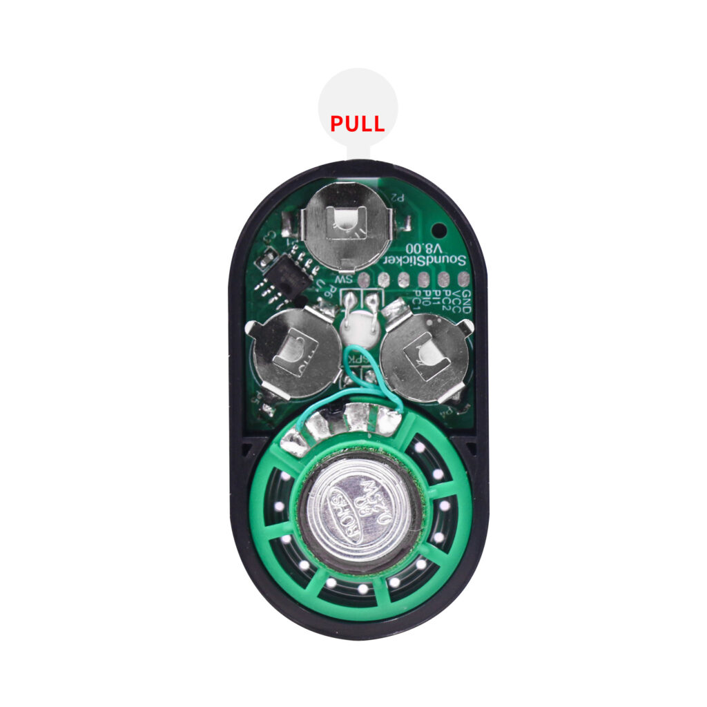 WT588F Voice Greeting Card Module - WayTronic Sound Chip