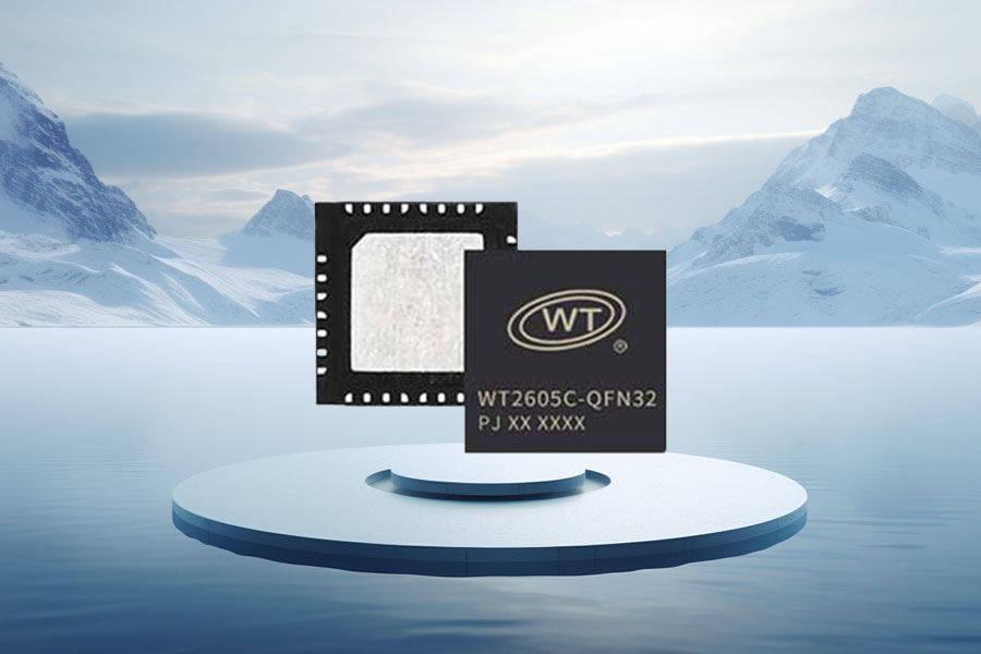 Bluetooth Audio IC Solutions：Application of WT2605C Bluetooth Audio IC ...