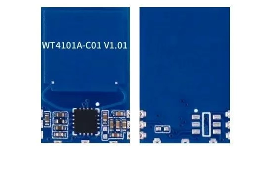 WT4101A-C01 Module