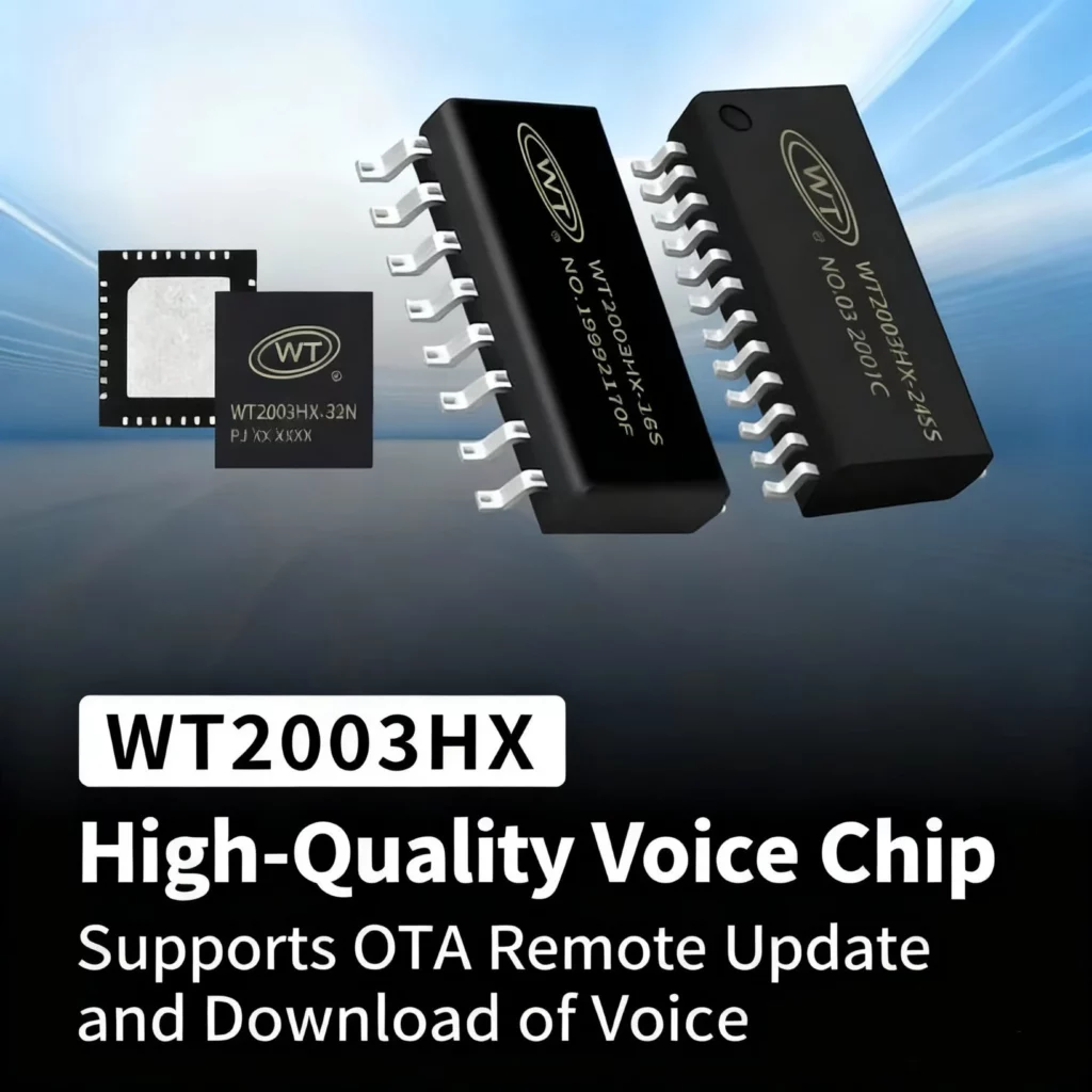 Voice chip for real-time voice changing applications