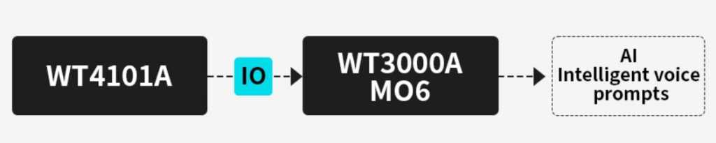 WT4101A+WT300A M06-Solution​